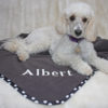 Charcoal Grey Spot