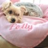 Baby Pink Spots